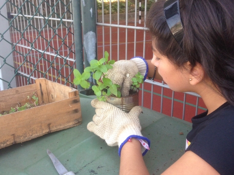 Voluntária ecoHBG em ação.